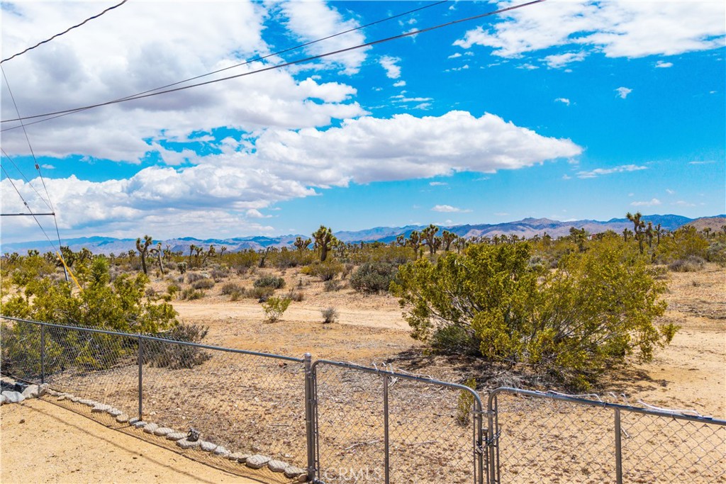 MLS #JT25100627 image #46