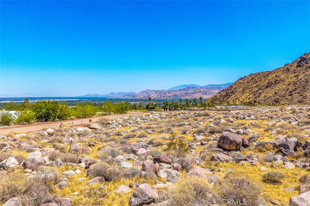 MLS #JT25105108 image #13