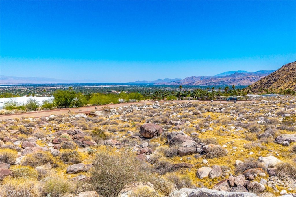 MLS #JT25105108 image #14