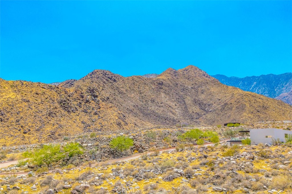 MLS #JT25105108 image #27