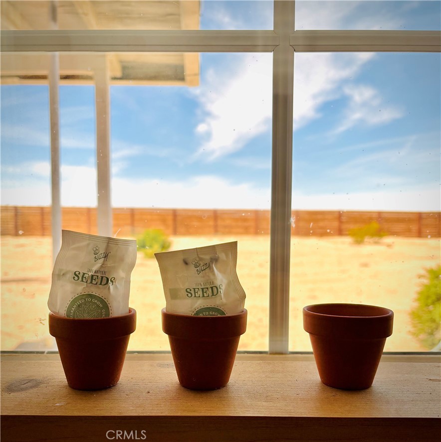 MLS #JT25110471 image #11