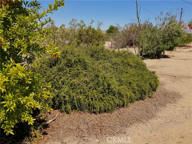 MLS #JT25119353 image #35