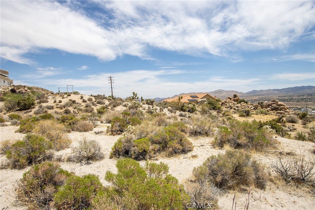 MLS #JT25127519 image #4