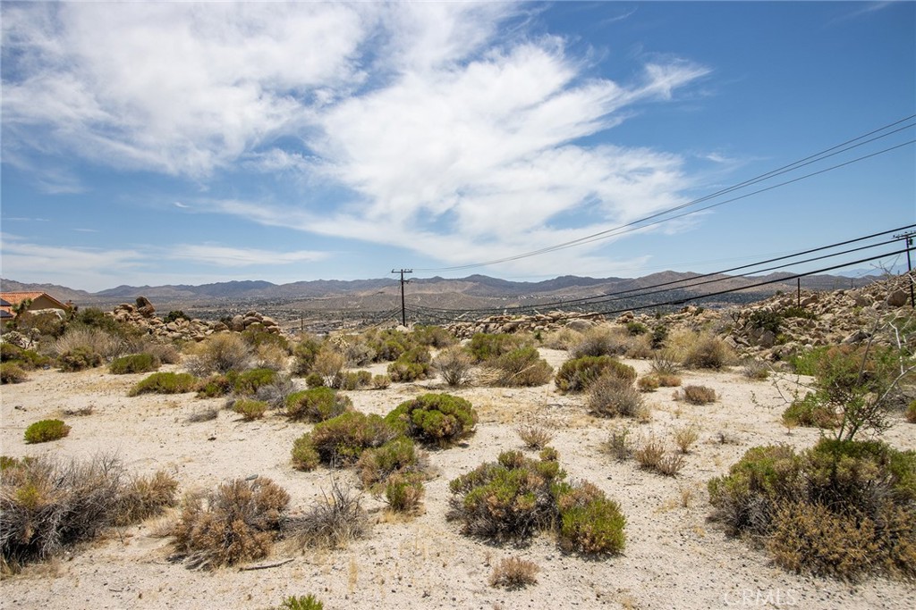 MLS #JT25127519 image #6