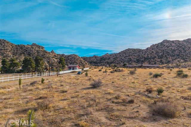 MLS #JT25130133 image #11