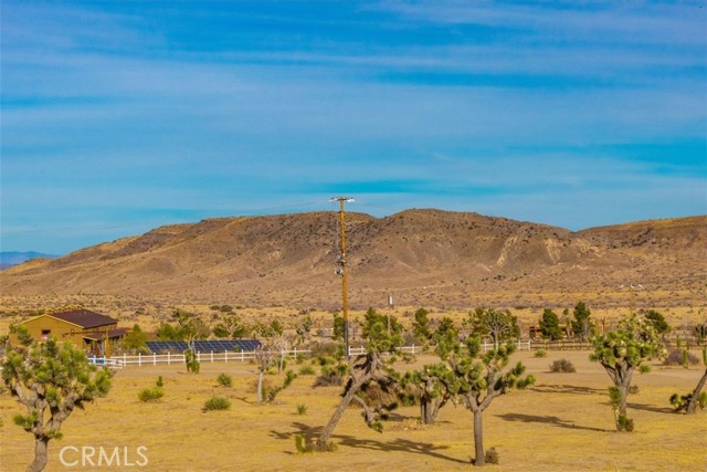 MLS #JT25130133 image #12