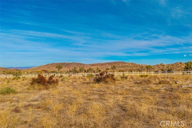 MLS #JT25130133 image #5