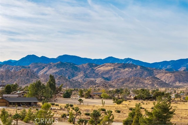 MLS #JT25130133 image #6