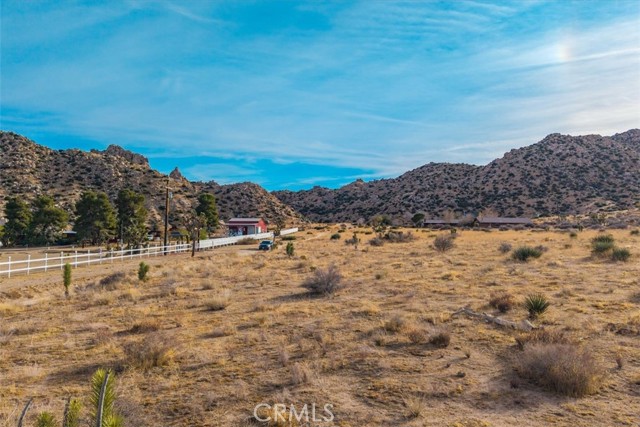 MLS #JT25130184 image #11