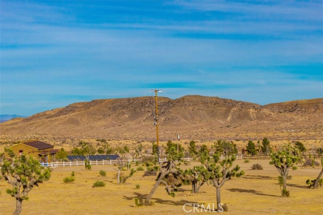 MLS #JT25130184 image #12