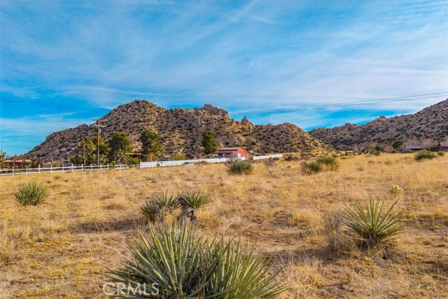 MLS #JT25130184 image #3