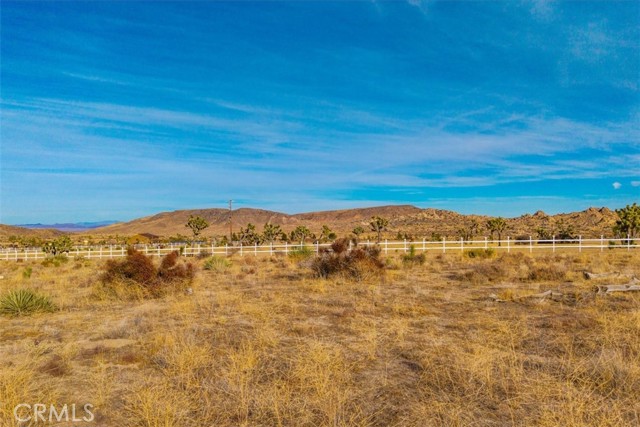 MLS #JT25130184 image #5