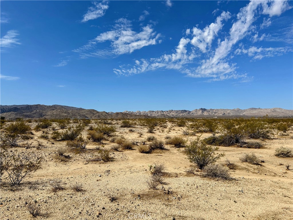 MLS #JT25131781 image #0