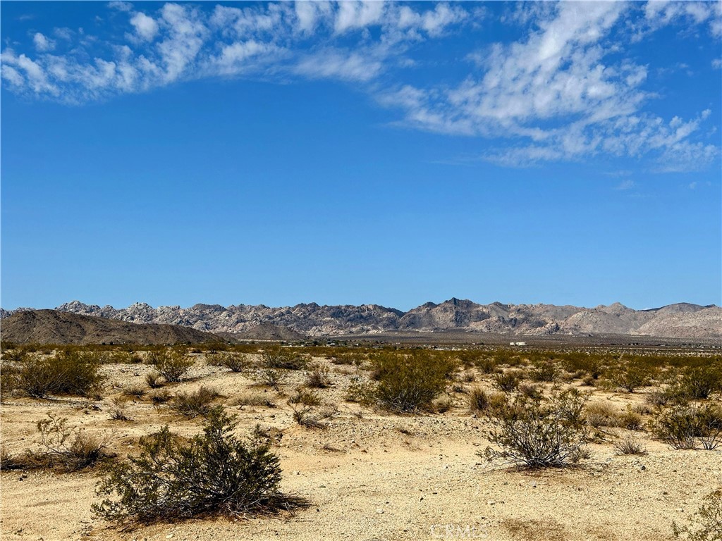 MLS #JT25131781 image #10