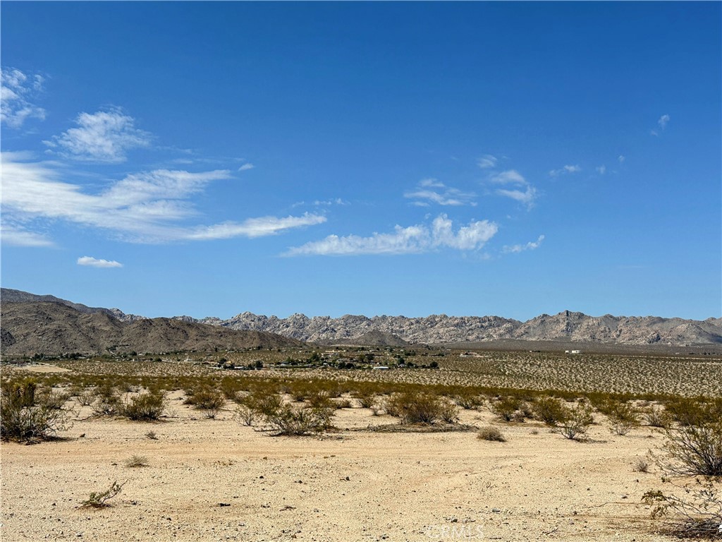 MLS #JT25131781 image #5