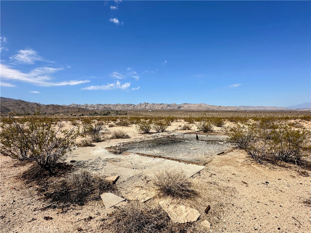 MLS #JT25131781 image #6