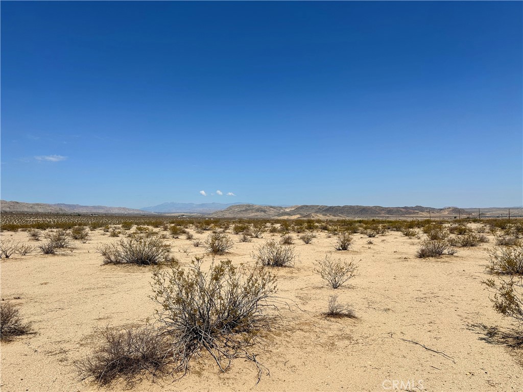 MLS #JT25131781 image #7