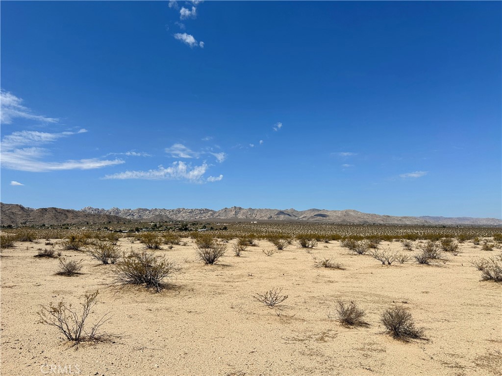 MLS #JT25131781 image #8