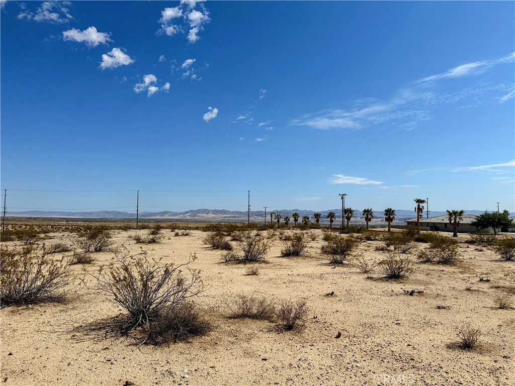 MLS #JT25131781 image #9