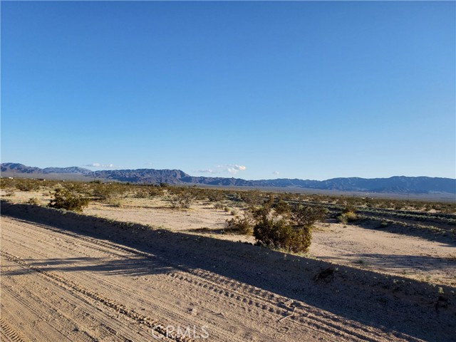 MLS #JT25134346 image #12