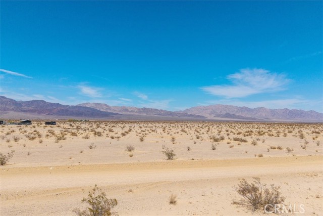 MLS #JT25134346 image #9