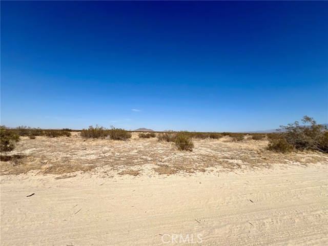 MLS #JT25136252 image #1