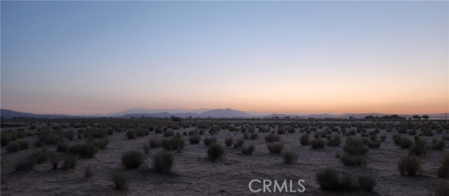 MLS #JT25139069 image #1