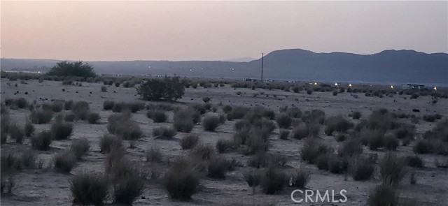 MLS #JT25139069 image #3