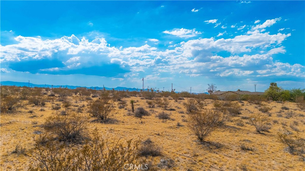 MLS #JT25139661 image #20