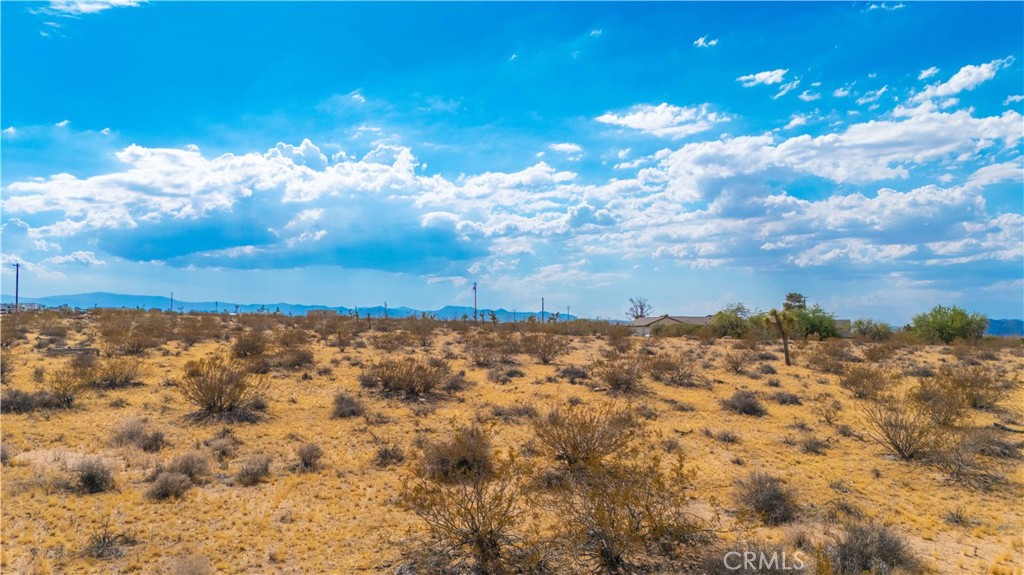 MLS #JT25139661 image #22