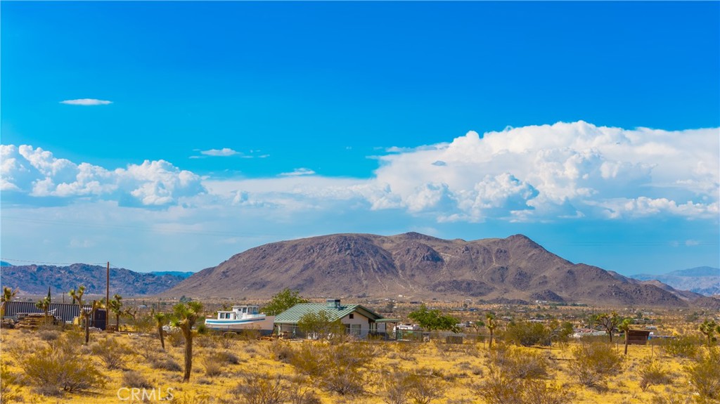 MLS #JT25139661 image #3