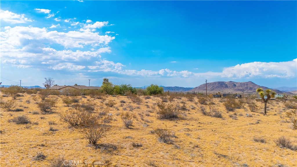 MLS #JT25139661 image #4