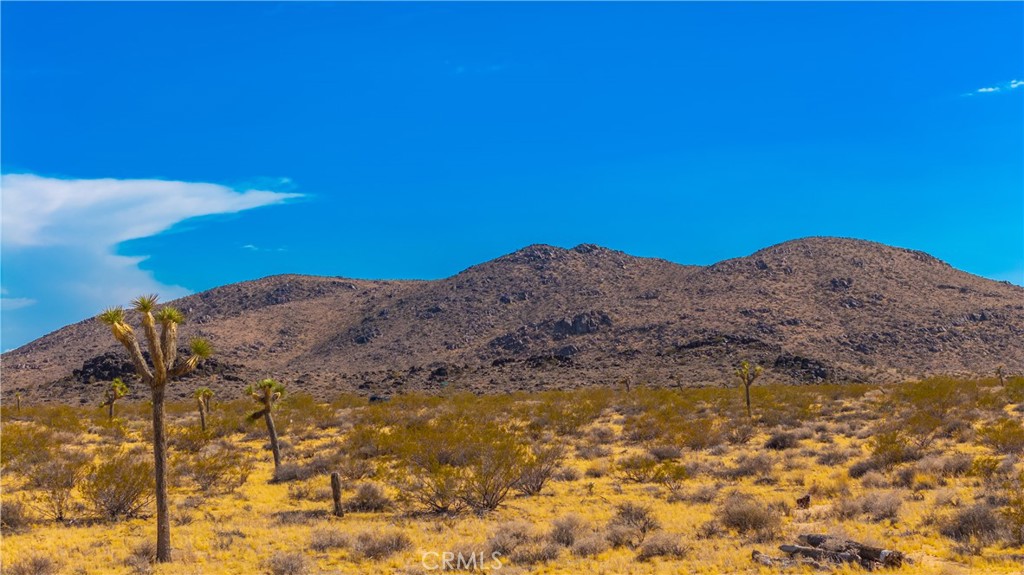 MLS #JT25139661 image #8