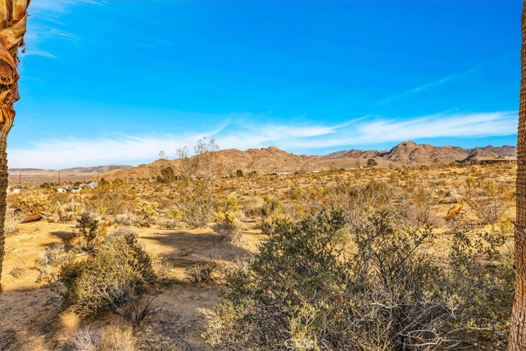 MLS #JT25141593 image #60