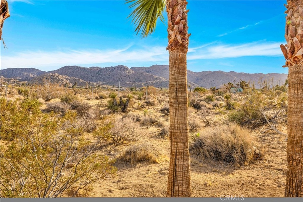 MLS #JT25141593 image #61