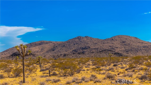 MLS #JT25149629 image #1