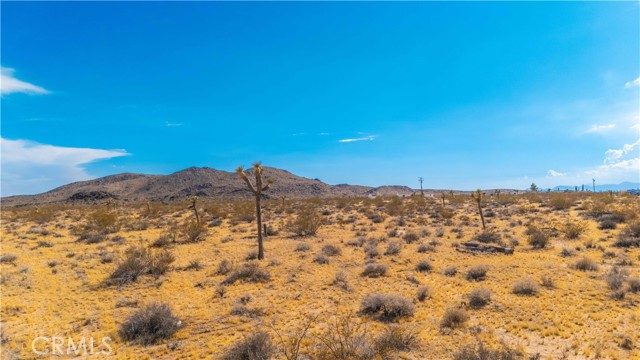 MLS #JT25149629 image #13