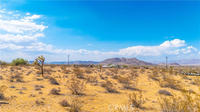 MLS #JT25149629 image #15