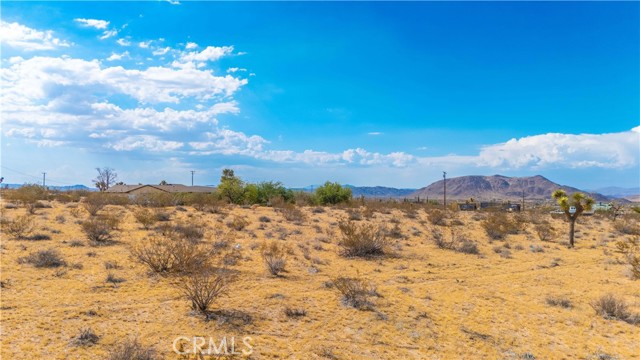 MLS #JT25149629 image #3