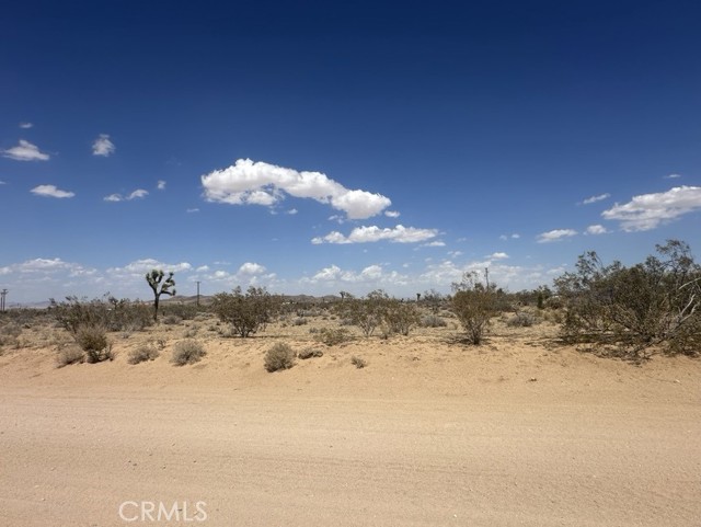 MLS #JT25153153 image #1