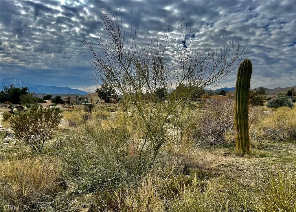 MLS #JT25153669 image #0