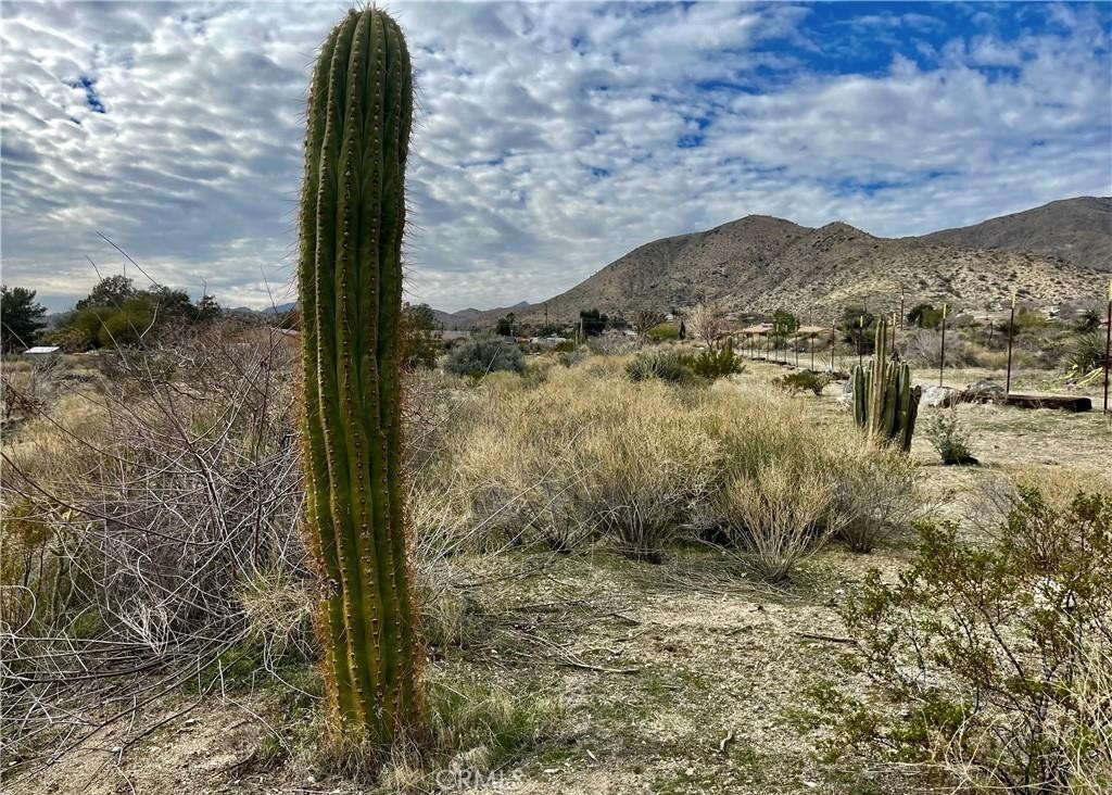 MLS #JT25153669 image #10