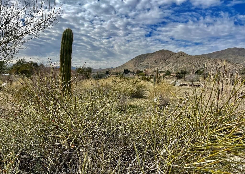 MLS #JT25153669 image #11