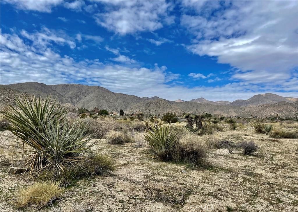 MLS #JT25153669 image #12