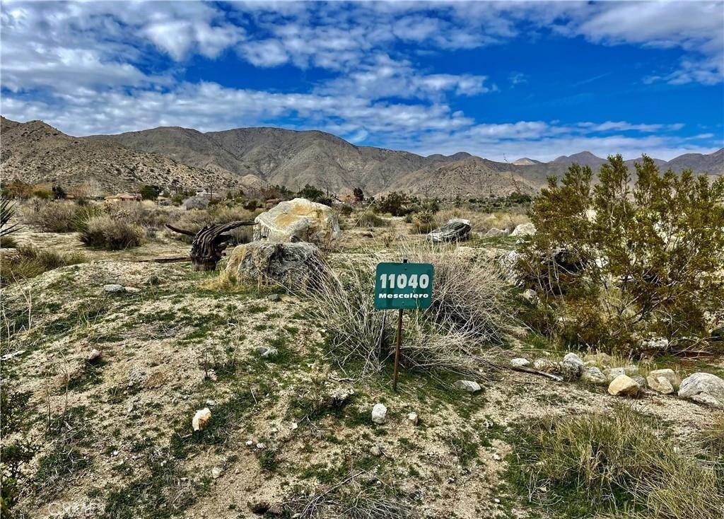 MLS #JT25153669 image #3