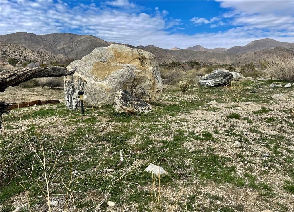 MLS #JT25153669 image #6