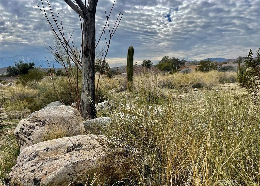 MLS #JT25153669 image #7