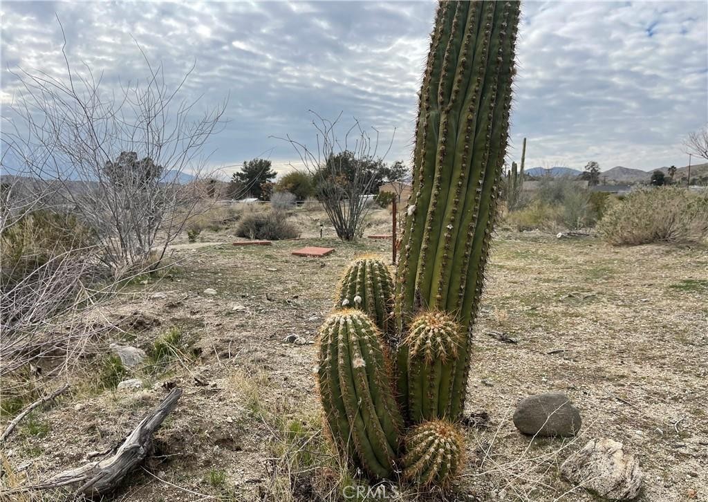 MLS #JT25153669 image #8