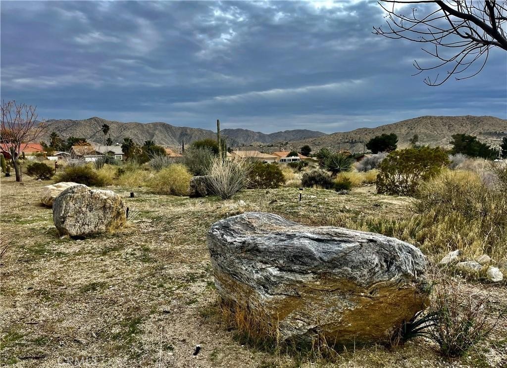 MLS #JT25153669 image #9