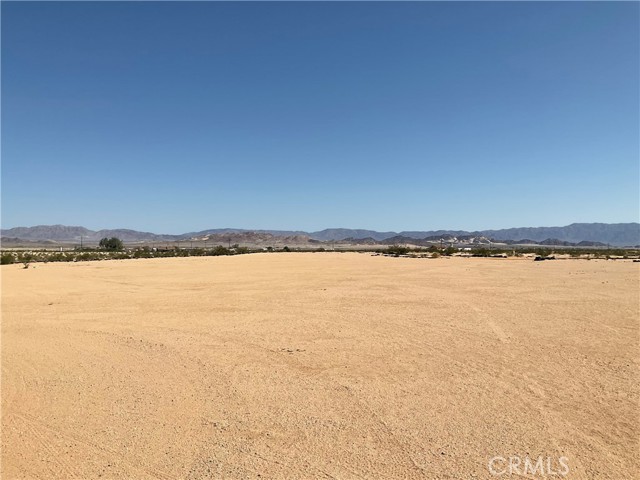 MLS #JT25159423 image #45
